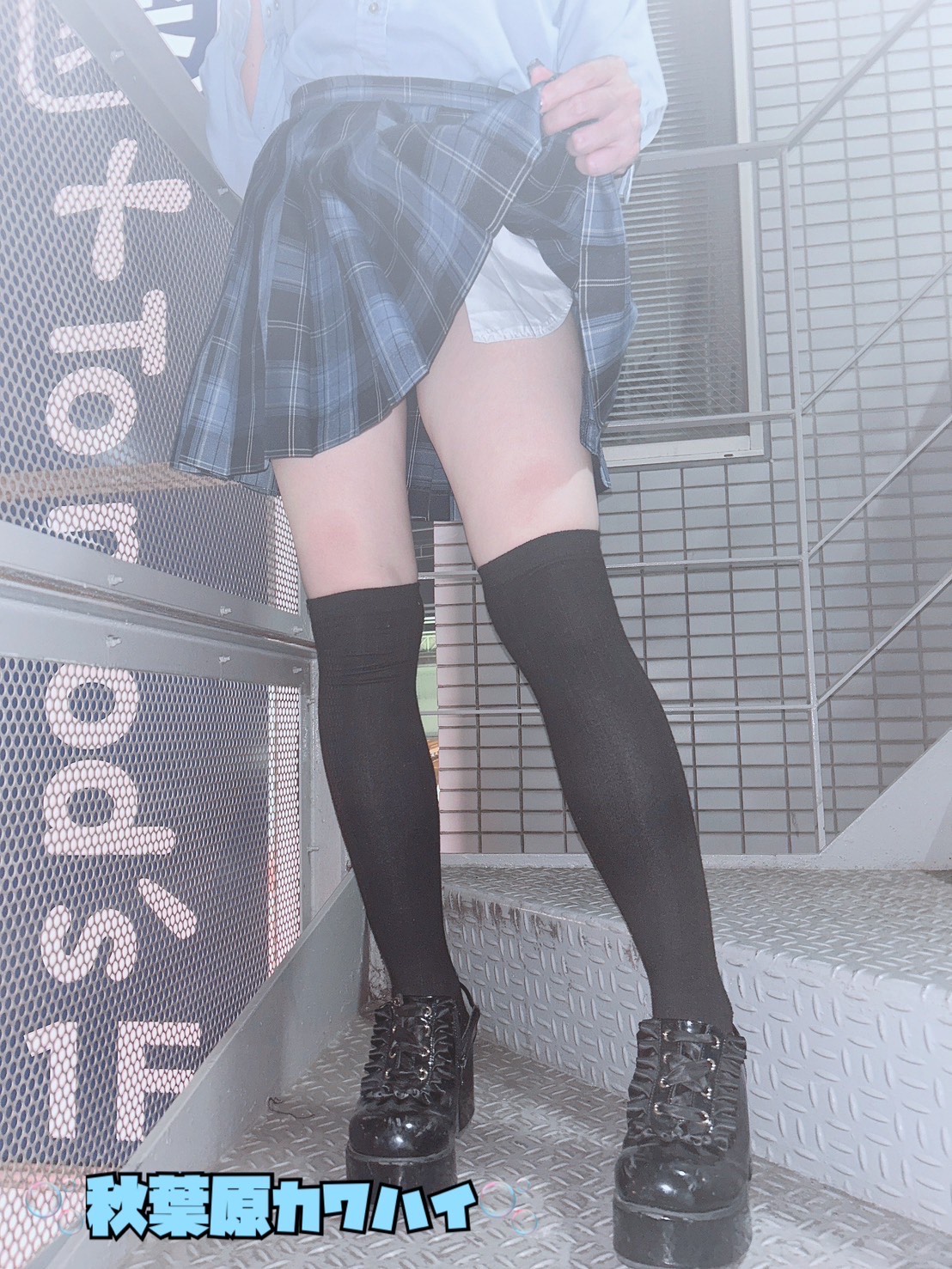 ステラ 画像