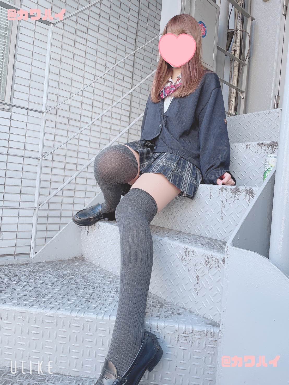 チーズ 画像
