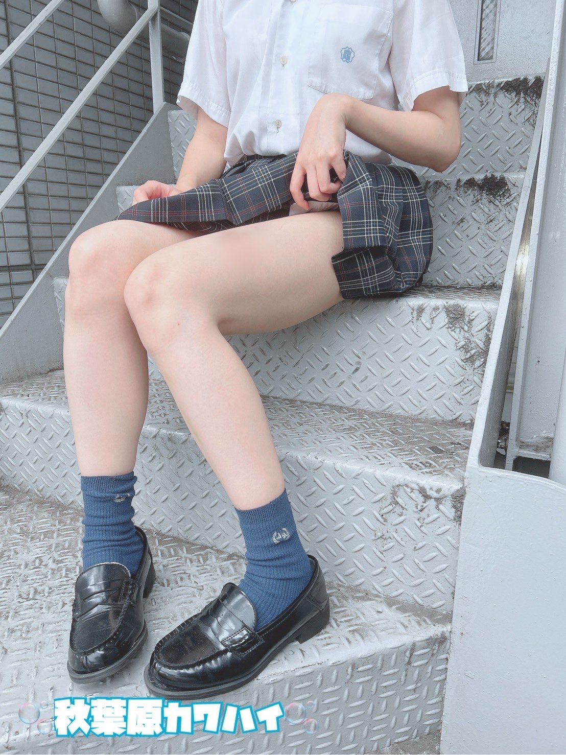 赤貝 画像