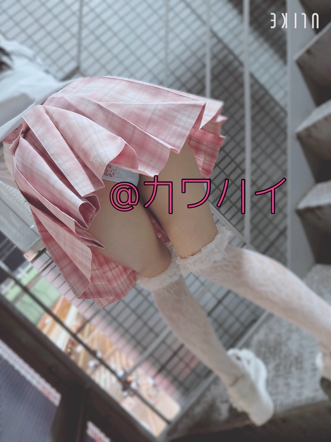 キュアウサミン 画像